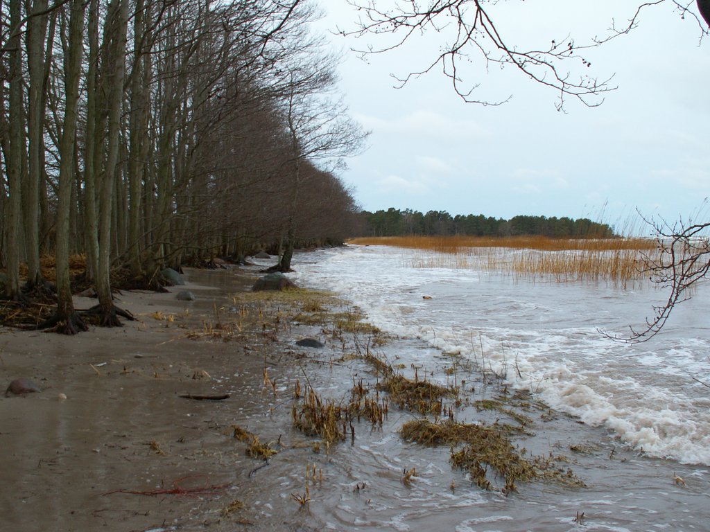 Tormijärgne rand