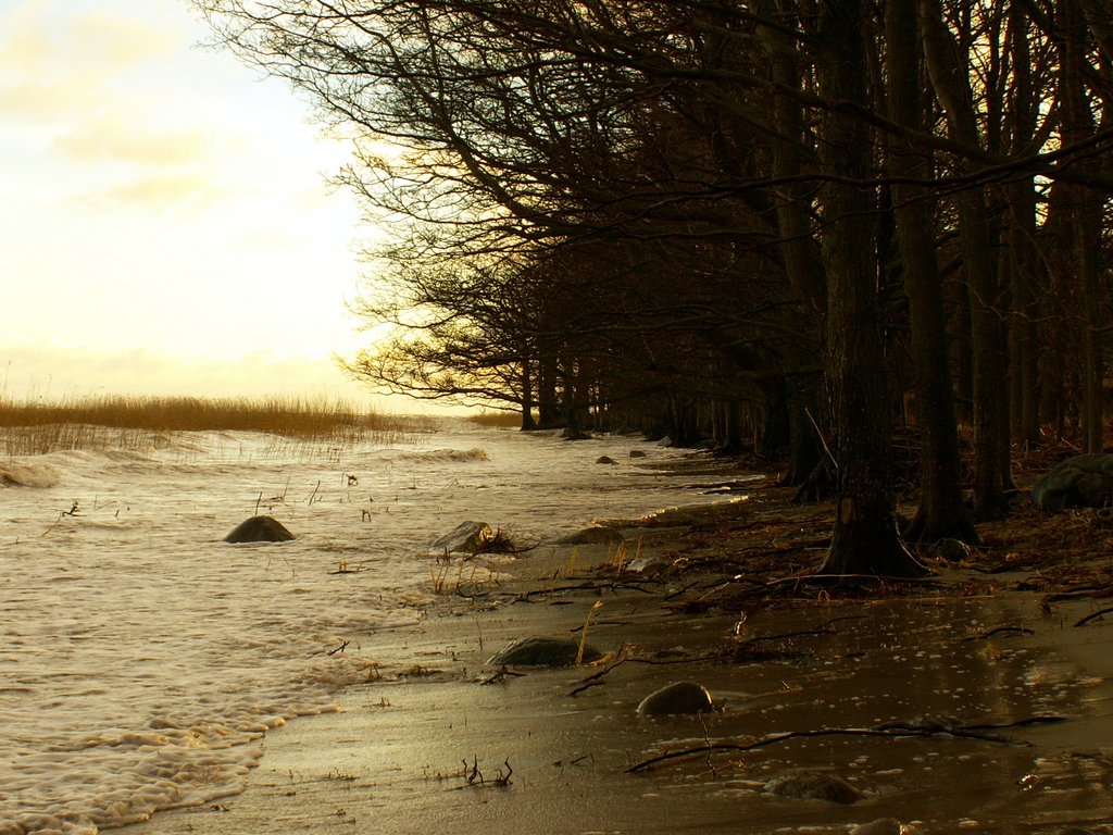 Tormijärgne rand