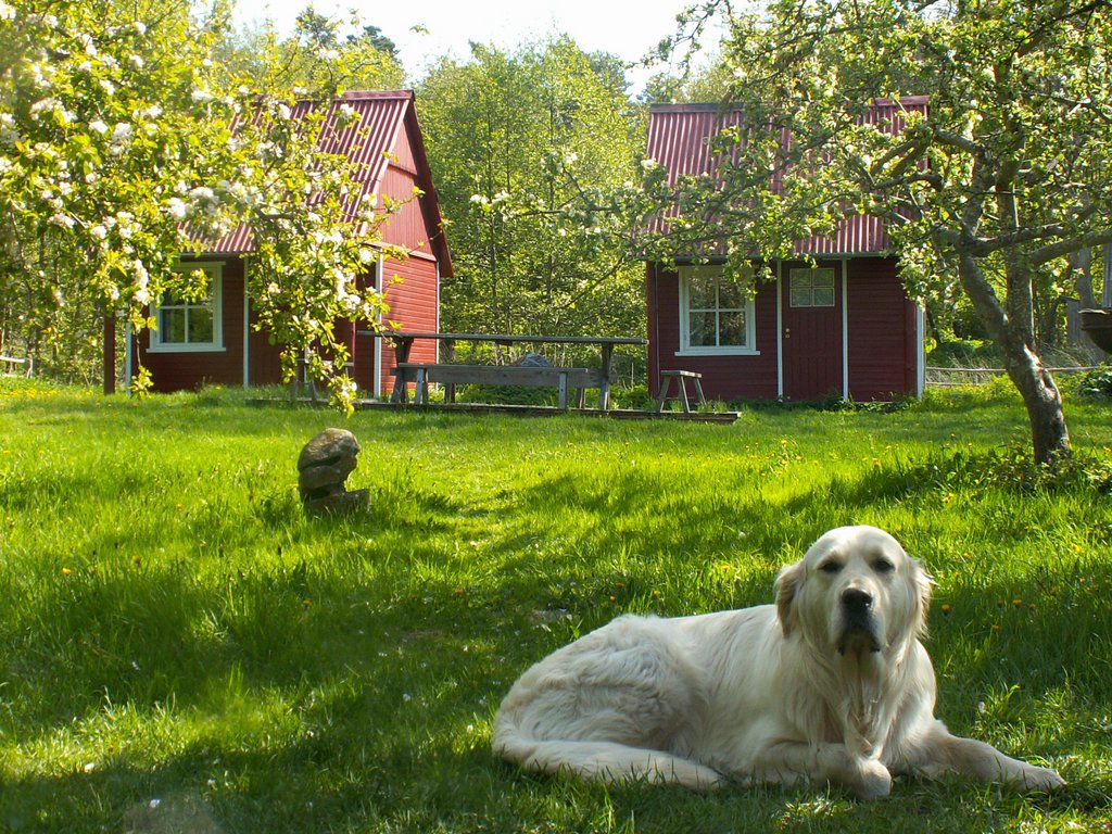 Külavahel, mai 2006