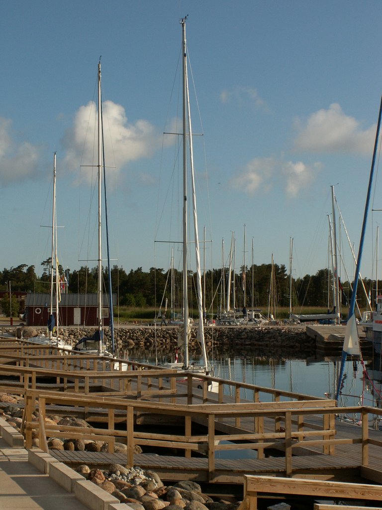 Sadam, juuni 2008