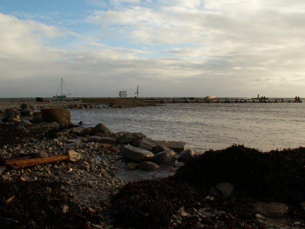 Torm, jaanuar 2007