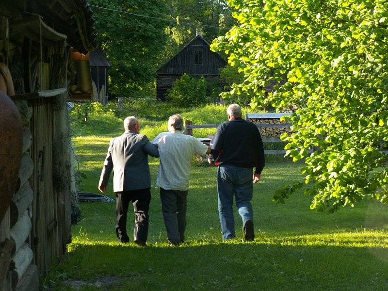 Bullerby lapsed, juuni 2007