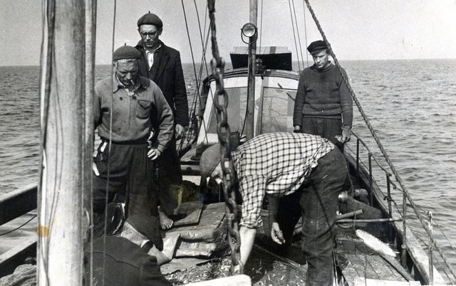 Merel kalapüügil