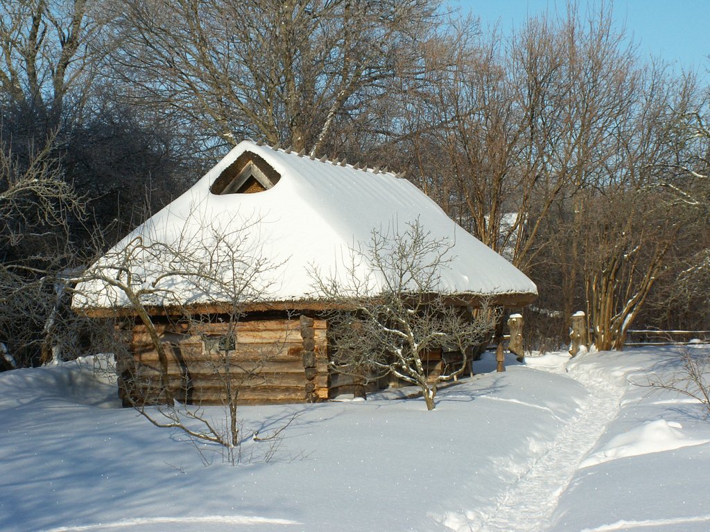 Talvine küla 3