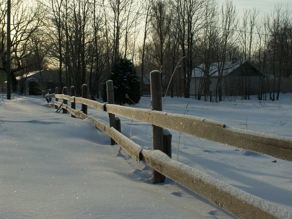 Talvine küla 2010