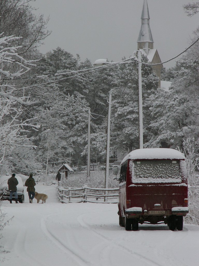 Talvine küla