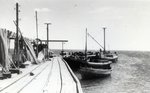  Ringsu sadama puukai, 1958