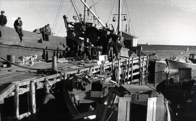 Buldooser-kopa mahalaadimine sadamas, 1961